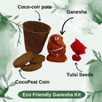 Eco-Friendly Ganesha with Seeds and DIY Kit