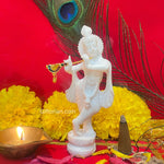 Murali Manohar Krishna Idol